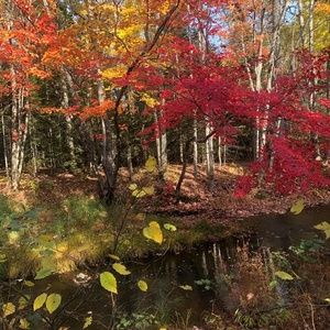 Meet your Posher, Fatma